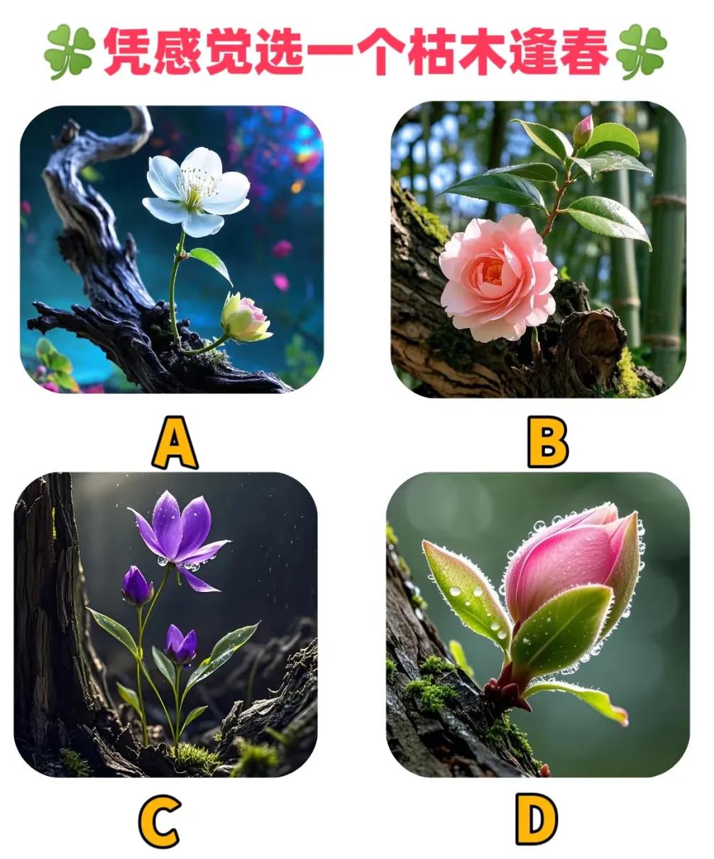 测测你要撞上什么大运？？？
选择喜欢的一幅图
测试结果仅供参考！
请理性待之！