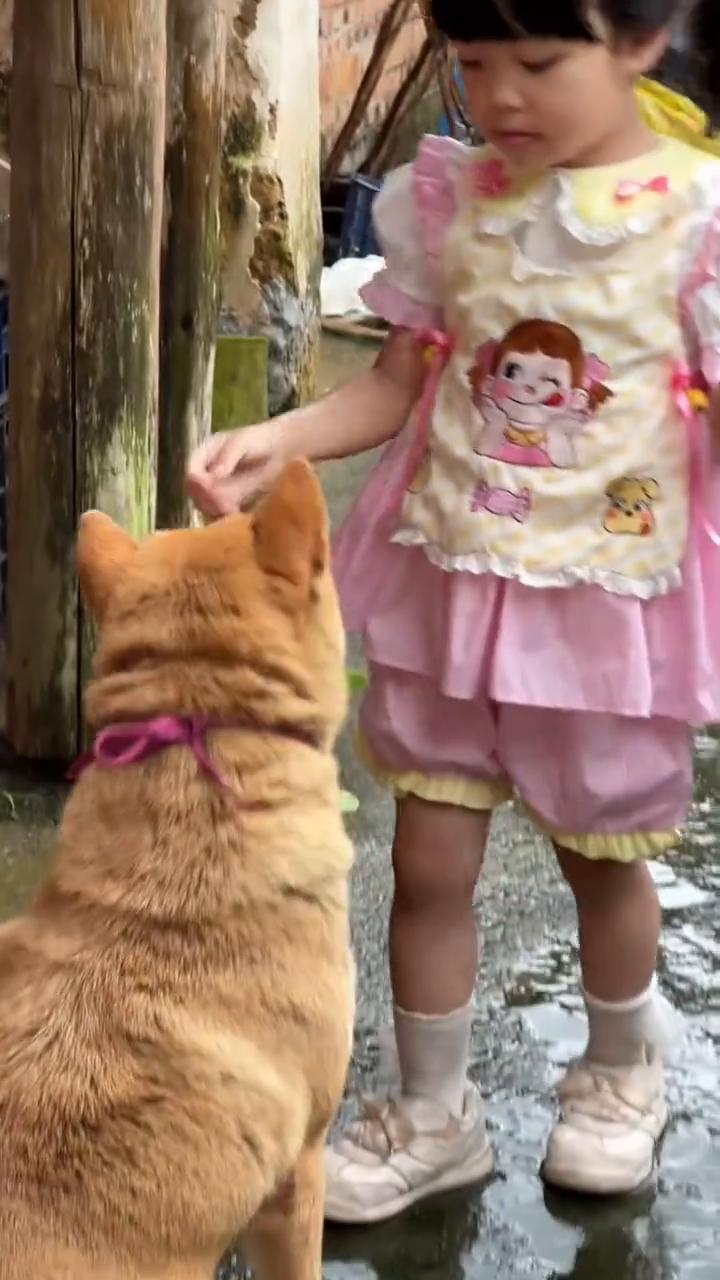 把钥匙挂狗子身上，一把钥匙多人使用，仅限家人。
谢谢阿爆。