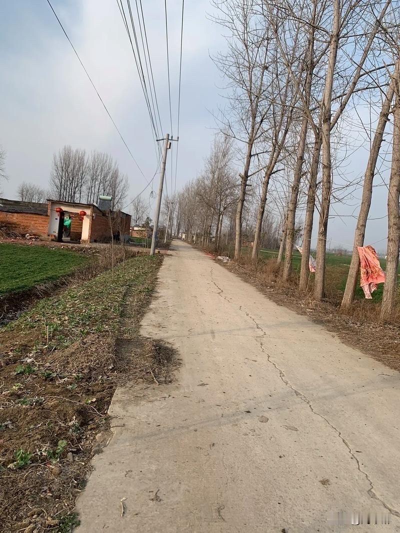 过年了，我给住在集市上的老姐送去 5000 元。
虽然钱不多，但这是作为弟弟的我