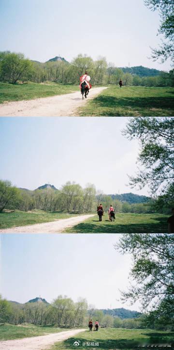 唐宫奇案之青雾风鸣 我的评分：白鹿长文告别唐宫奇案李佩仪白鹿告别唐宫奇案李佩仪被