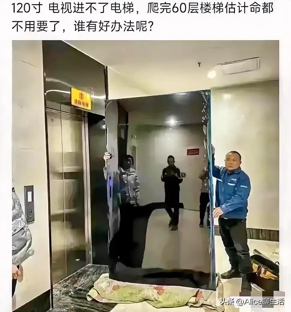 这两个送货师傅愁啊
送货送到家门口了
进不去电梯
求助广大网友
网友果然都是鬼才