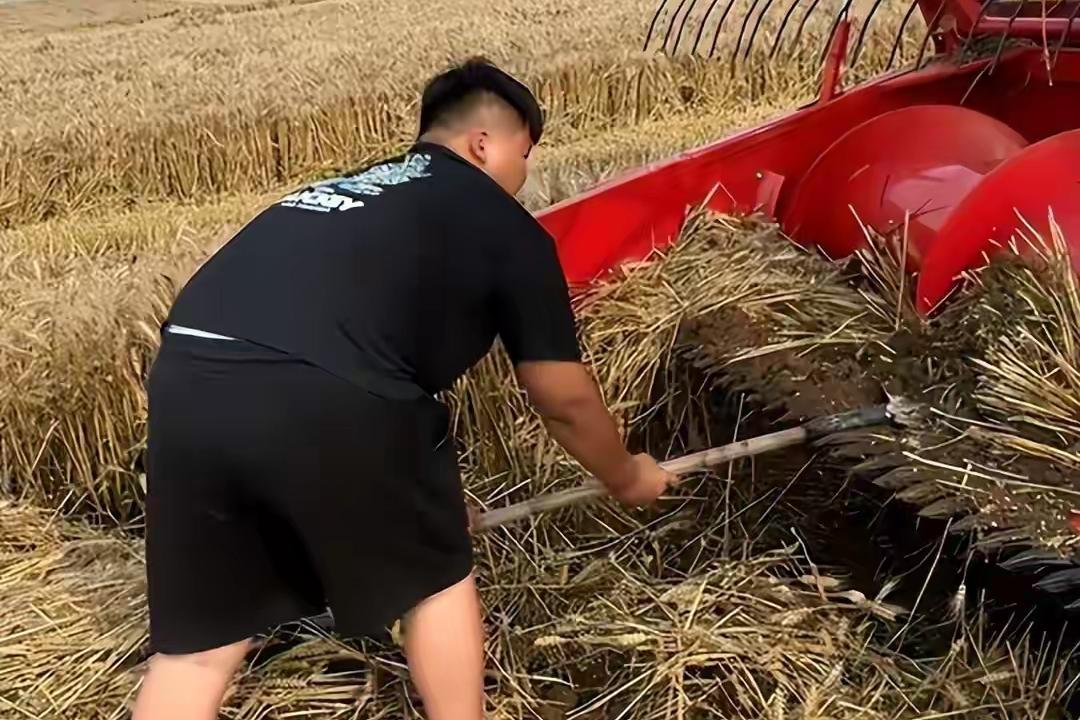 善意，一旦成了别人眼里的软肋，谁还愿意继续当好人？

眼下湖北麦收告急，河南一对