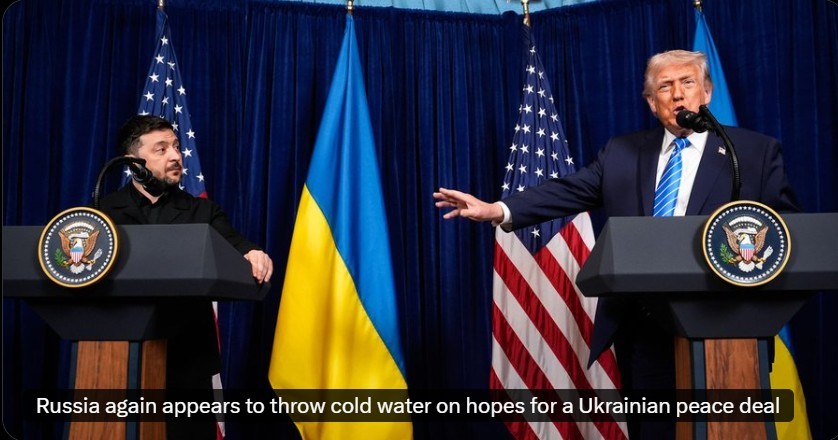 美国参议员理查德·布卢门撒尔 (Richard Blumenthal)评论政客 