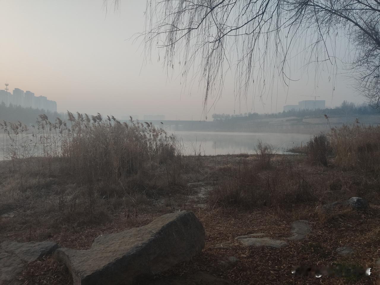 晨曦中的郑州市西流湖公园