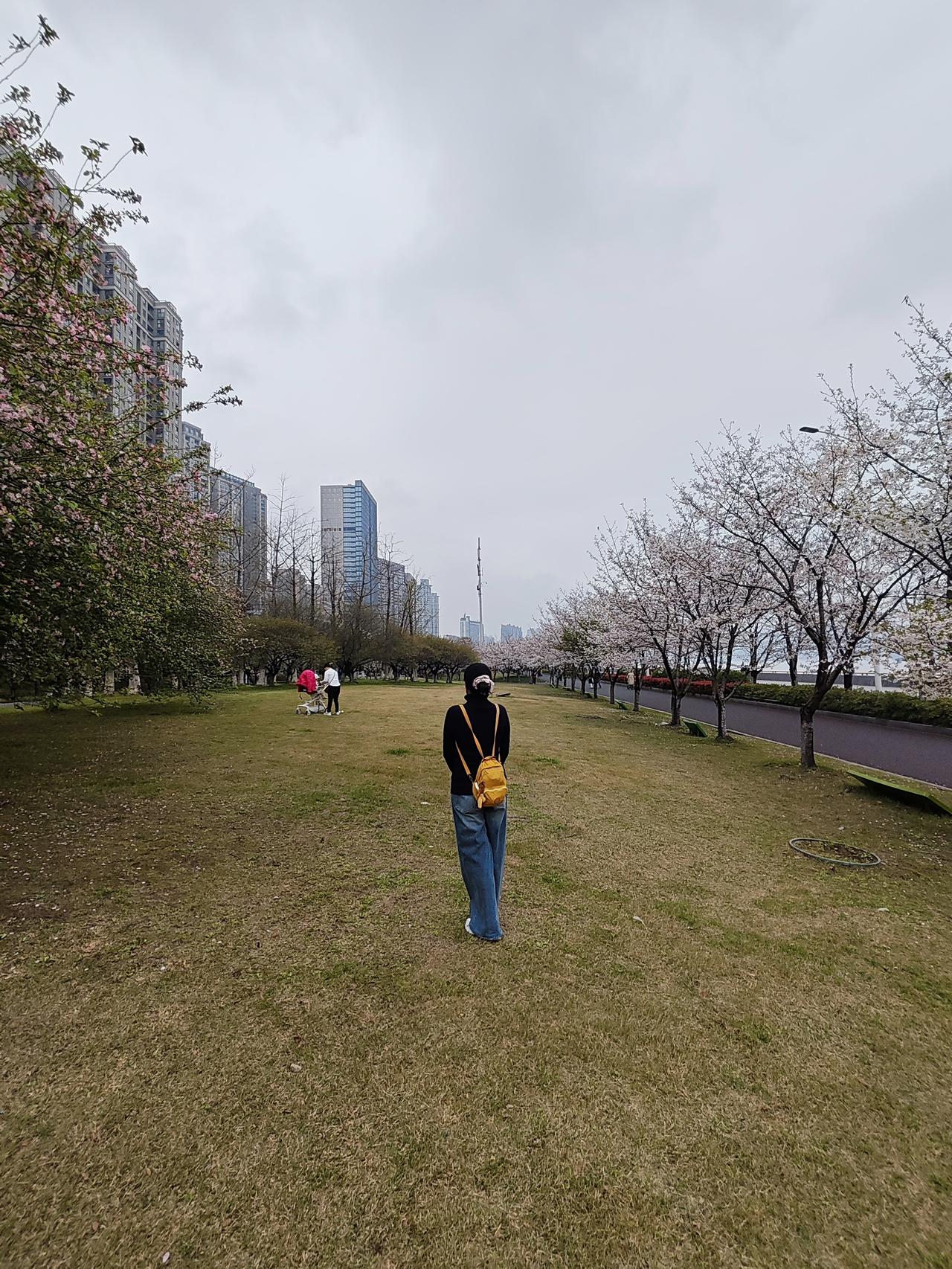 对于孩子的教育和以后孩子是否能够报答父母的养育之恩一切都是天意，顺其自然尽父母之