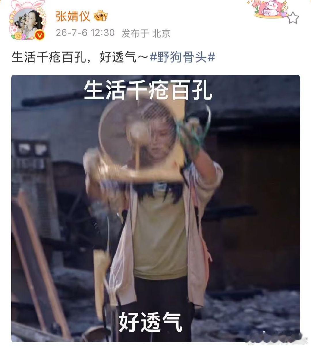 张婧仪抽象文案配苗靖抽象人生张婧仪发的抽象文案太好笑了苗靖生活千疮百孔好透气