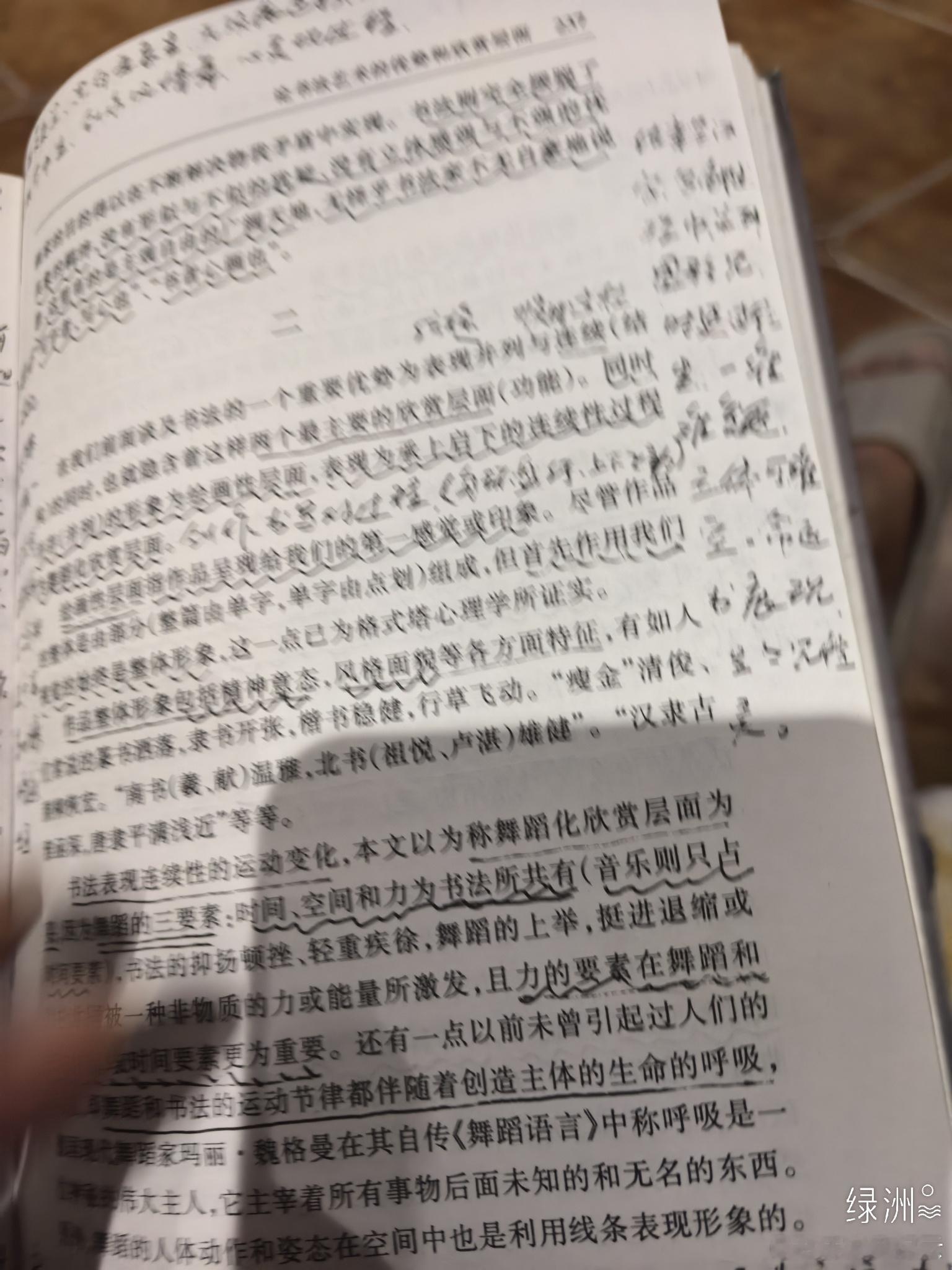 读书 论书法艺术的优势和欣赏层面（其九）诗文/王纪云（新韵）同呈异彩风，并列境出