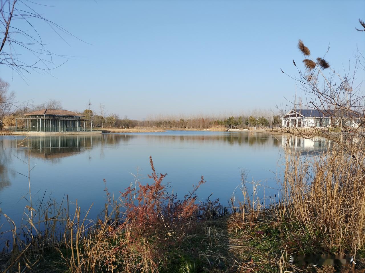 冬日的渔梁洲，虽潇洒，也自有它的美，冬日暖阳不妨碍喜欢它的人们，今天依然很多人在