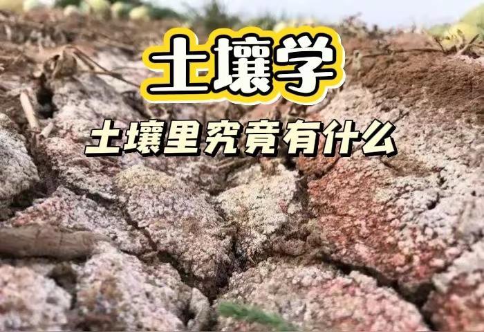 我说句冒昧的话，很多人种了一辈子地都不知道什么是土壤，他不知道植物是怎么在土壤里