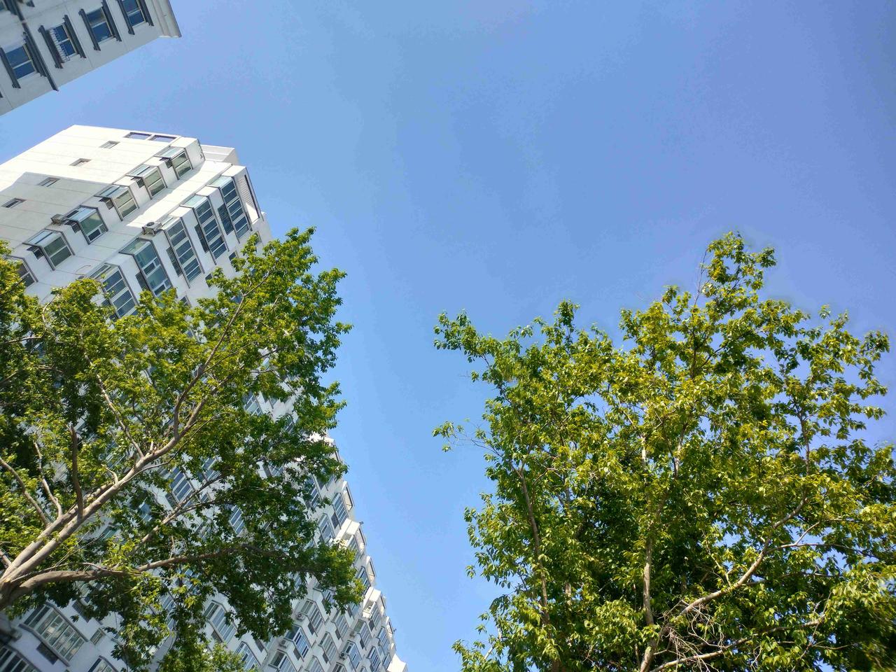 我的今日状态：😁轻松愉快
我这里的天气：☀️晴天