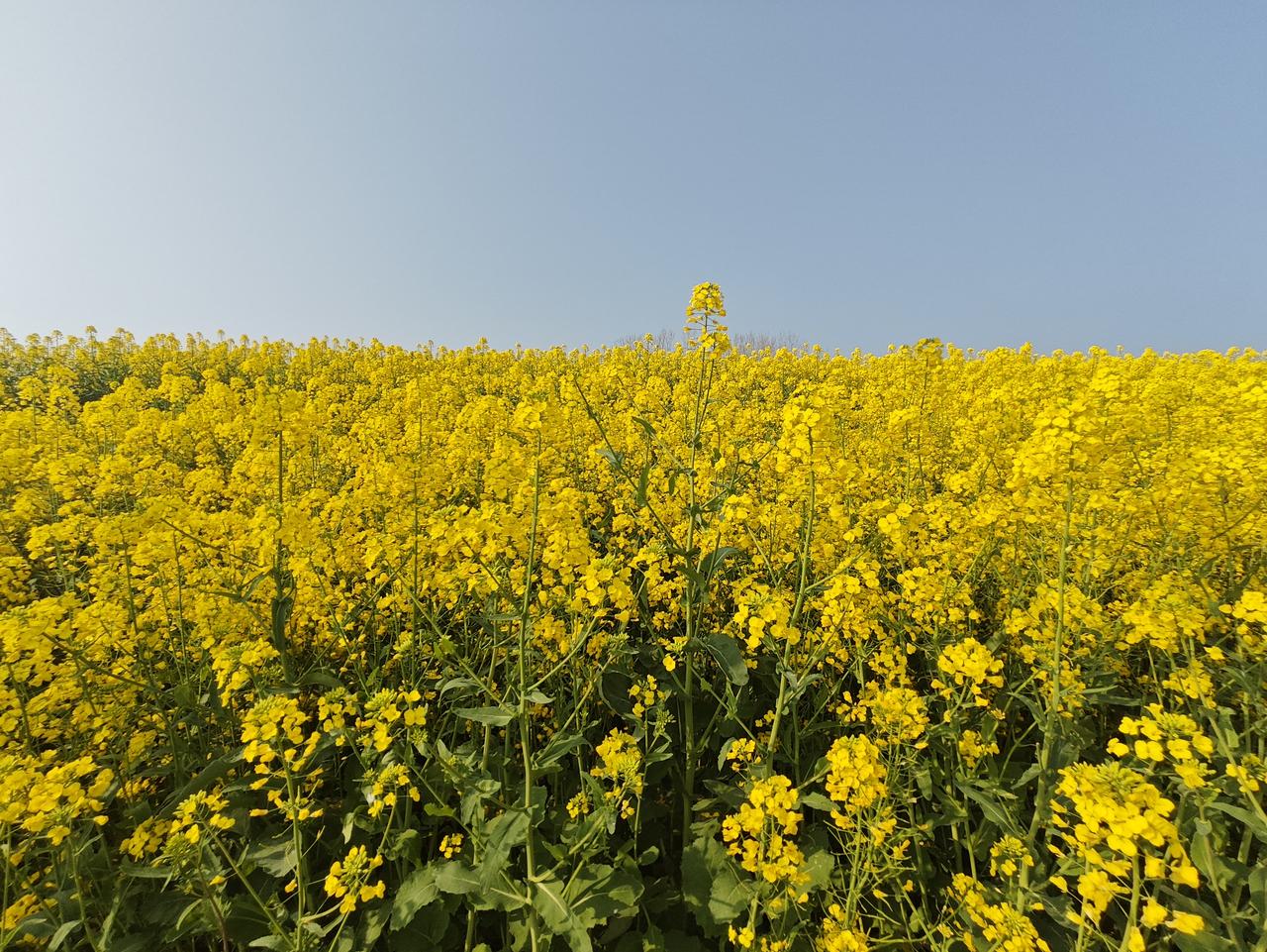 中小学教师评职称，准备的不仅是材料，更是职业生涯的关键一步。结合多地评审实践，以