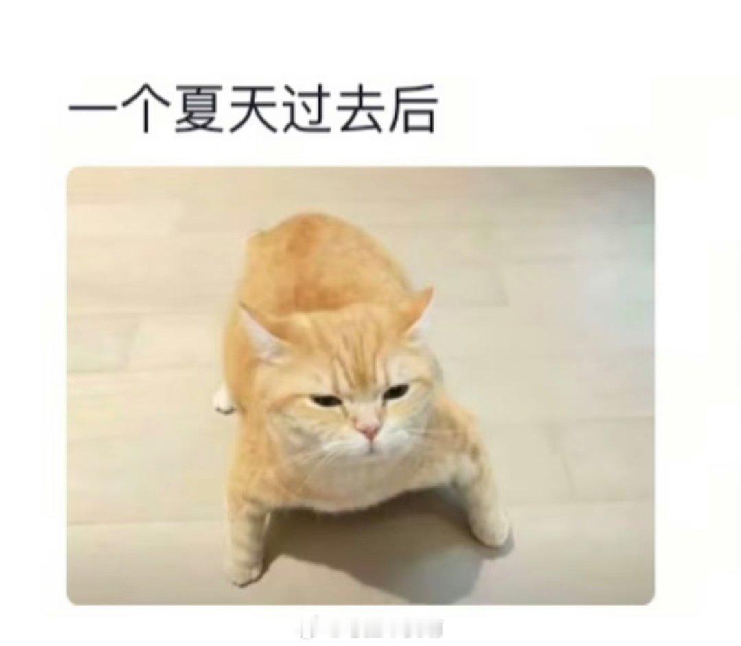 司岚 【司岚×你】《冬瓜先生》清晨，你不知道跟哪只猫学的，买了个巨大的冬瓜。“学