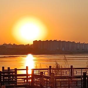 黑夜里的眼晴寻找光明