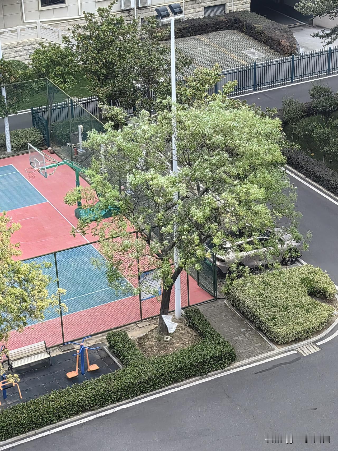 秋老虎终于下山了！今年8月，武汉整体气温偏高，月内平均最高温33℃，最低温约25