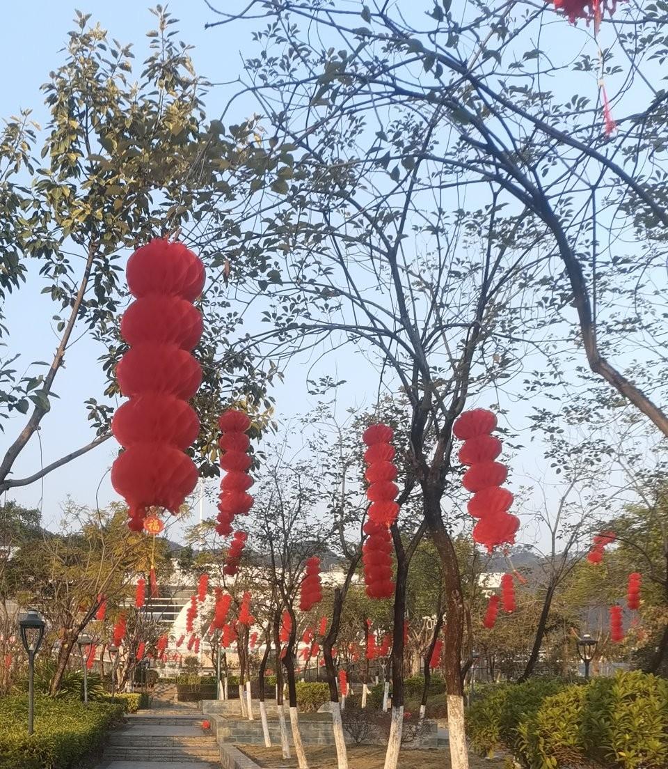 大红灯笼高高挂，漂亮吗？