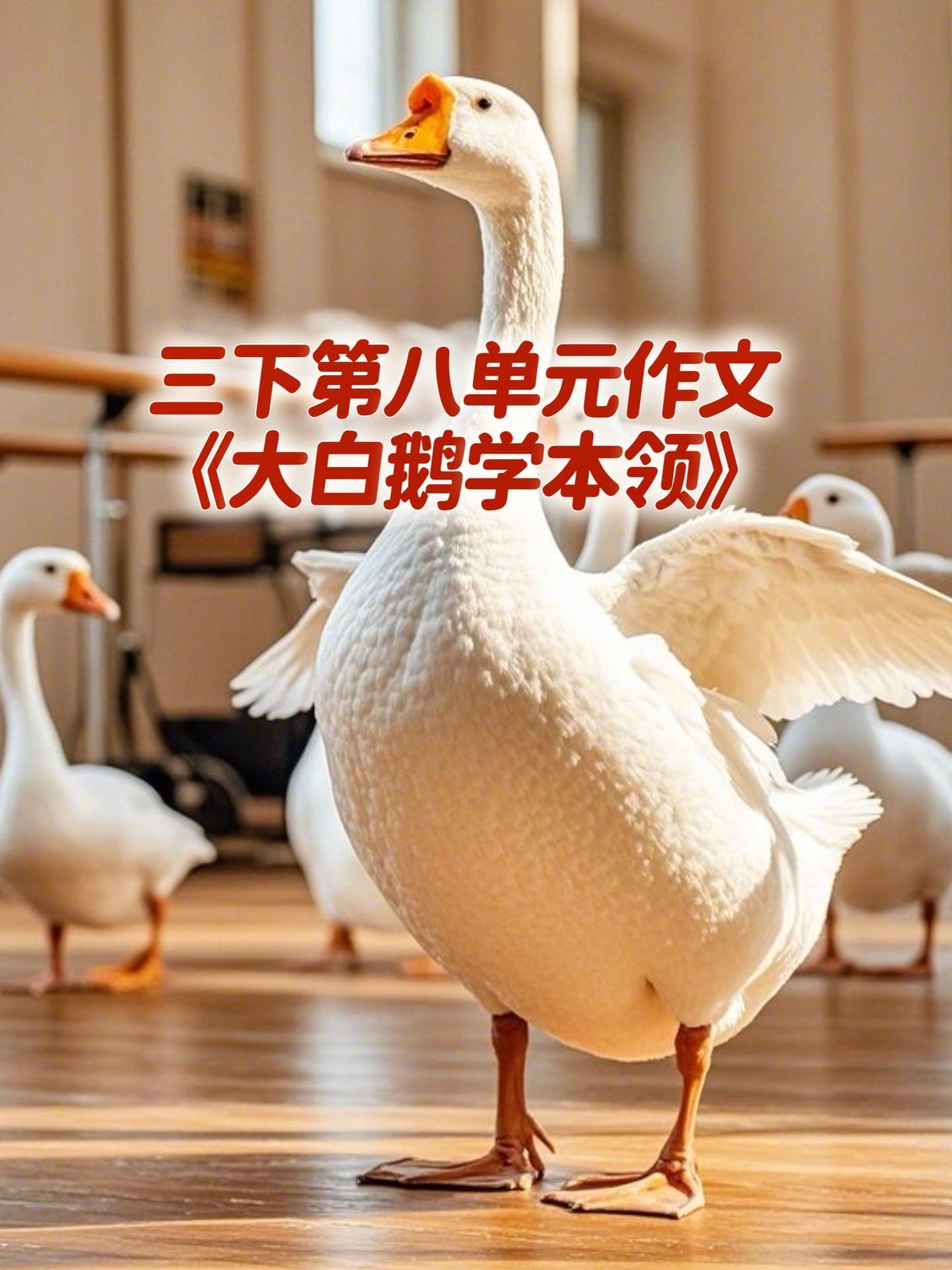 《大白鹅学本领》 优秀范文。小学三年级下册第八单元习作《这样想象真有趣...