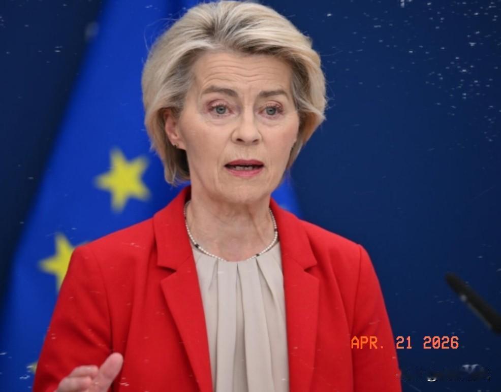 多家权威媒体报道，中国在向欧盟委员会提交的一份30页文件中明确表示，若欧盟将中方