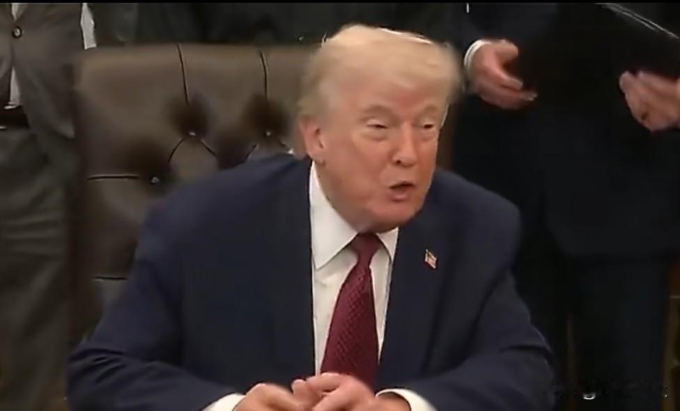 特朗普:“他们有点可爱！”

但和特朗普起来，还差的远着呢！