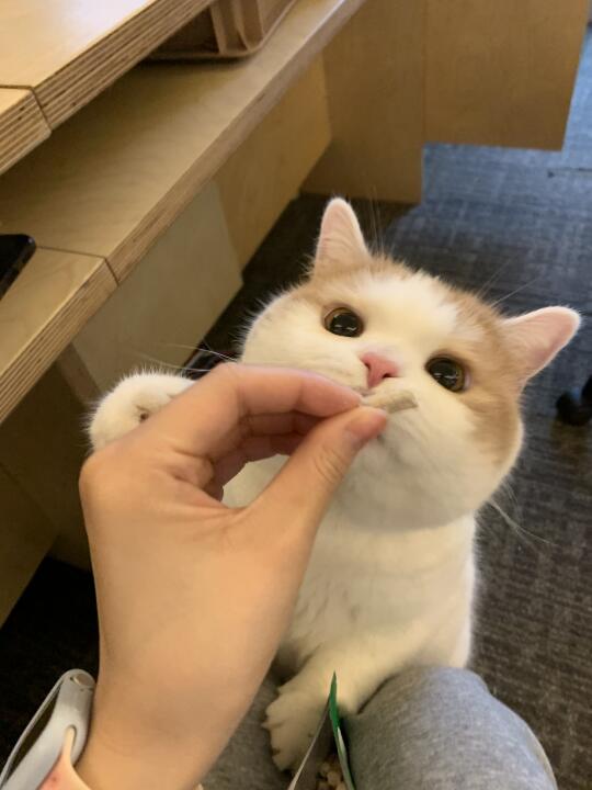 给我给我快给我