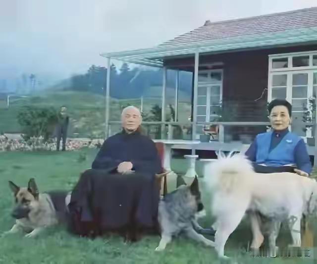 宋美龄
蒋介石
1965年
台北照