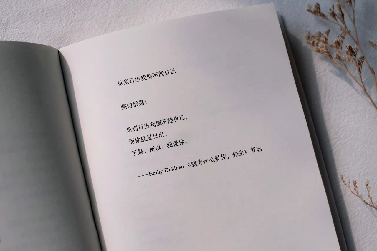 隐晦表示我爱你的句子：你不像任何人 ​​​