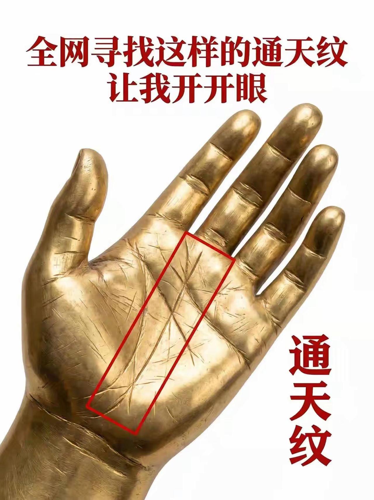 面对强大对手，看来只能出“奇”制胜了。 电影功夫女足 周星驰 张小斐