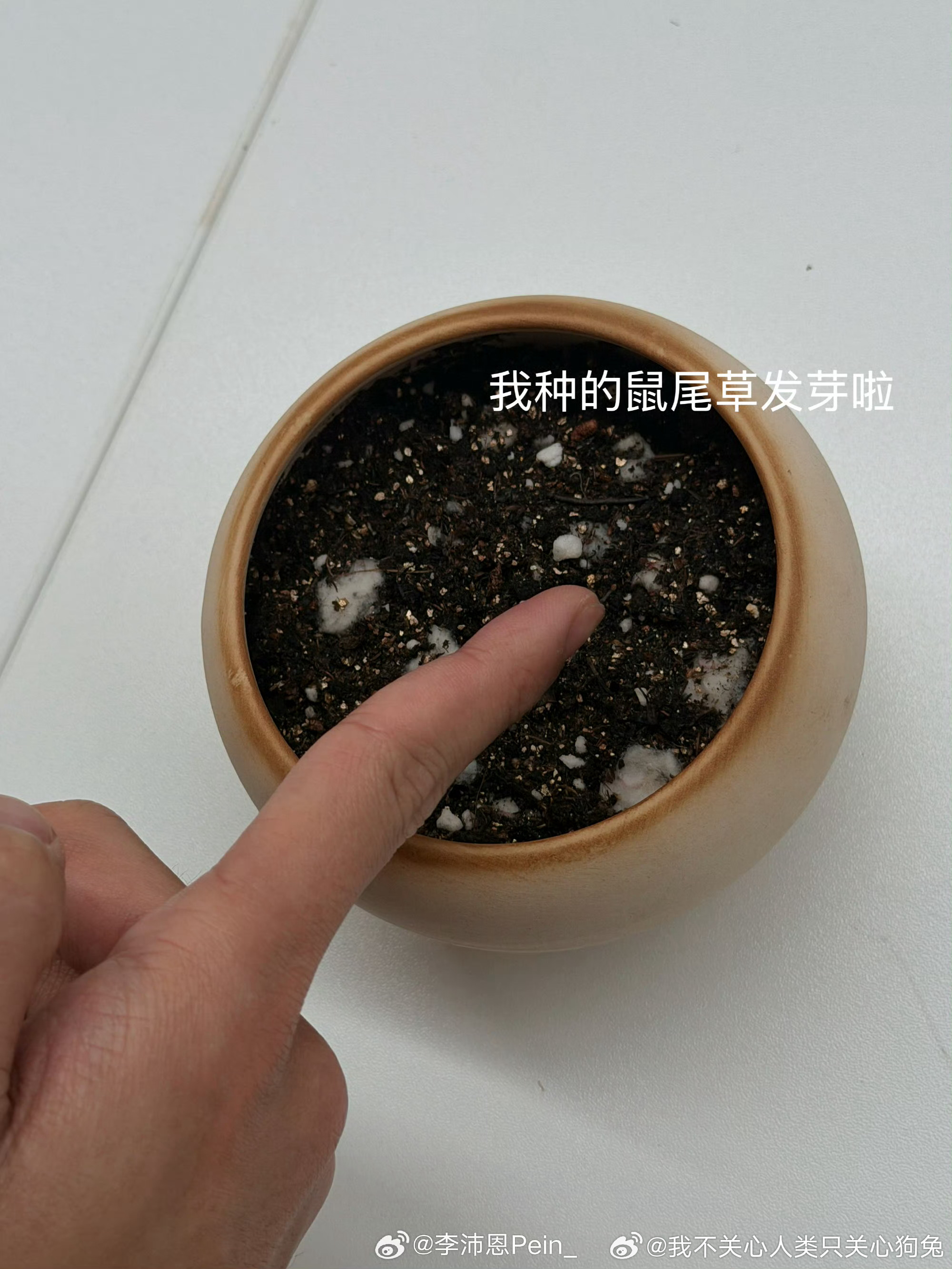 大家都没走出来其实[泪]途途 ​​​