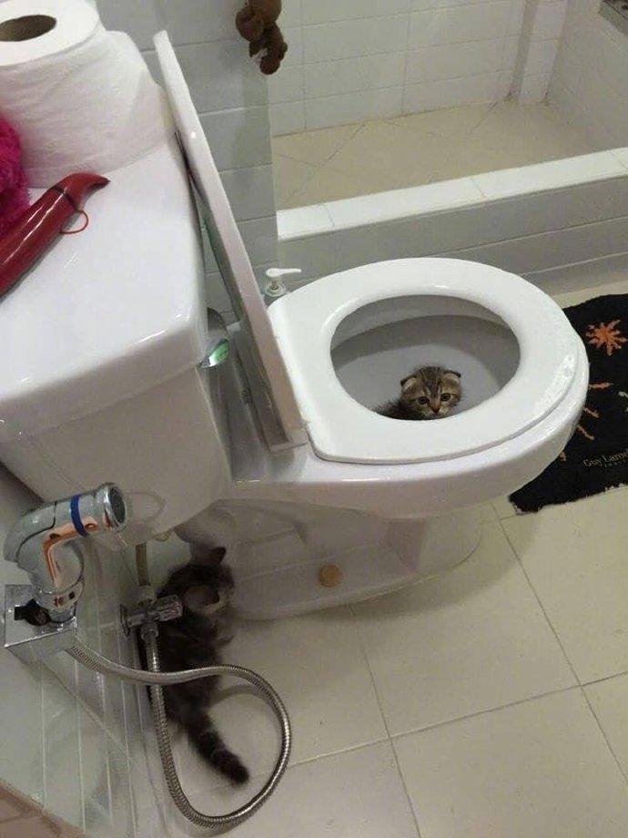怎么办...