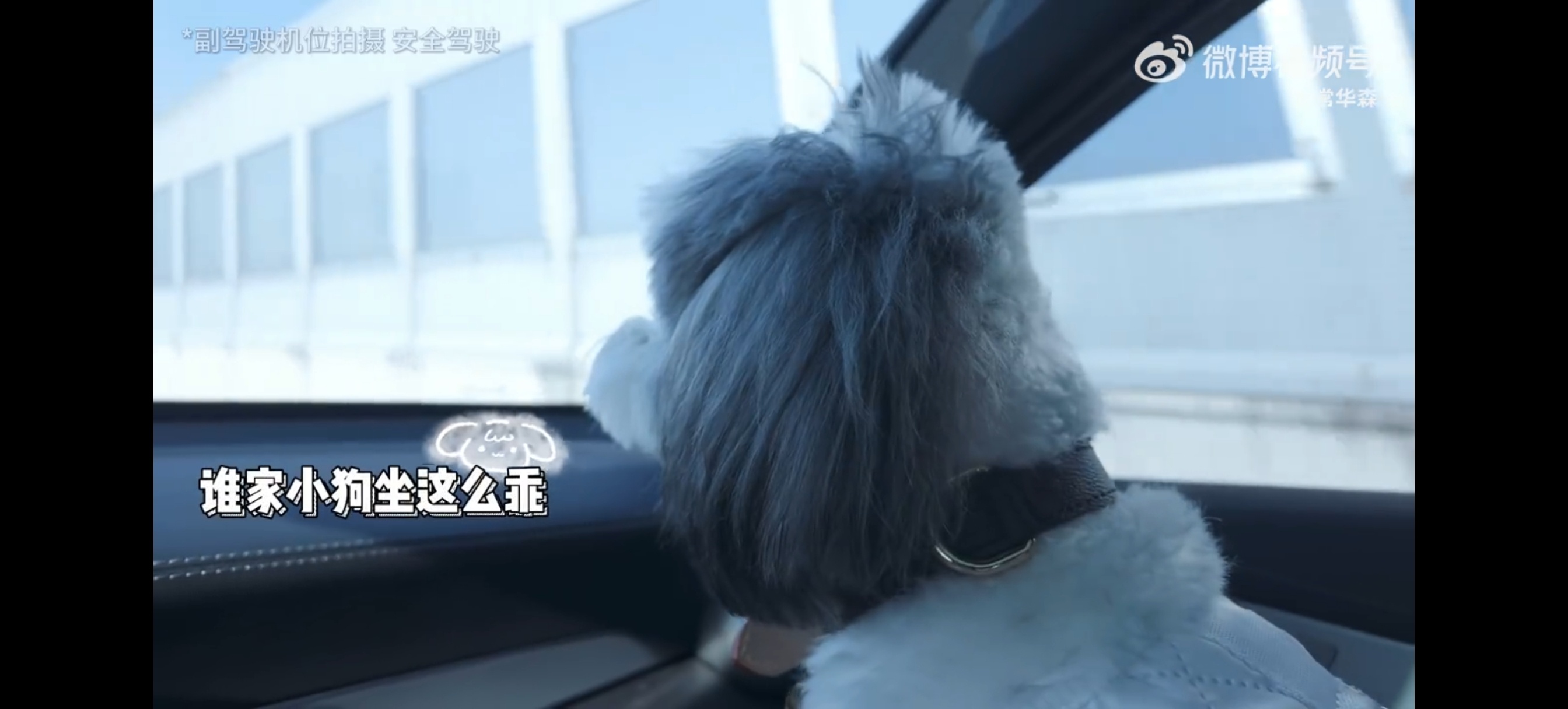 谁来懂一下我们乖乖九月有多萌就这样乖乖坐在爸爸车上看前方虽然有点怕坐缆车但是还是