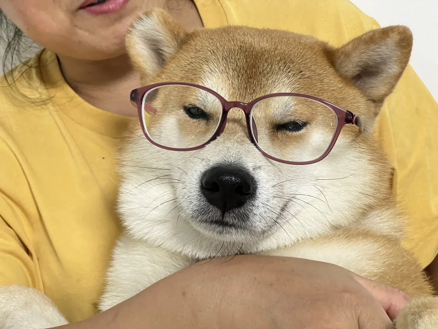 假期即将结束教导主任准备上班