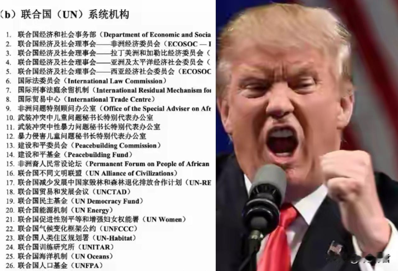 特朗普怒退66个组织机构，年近80岁的特朗普，越玩越有料了。
特朗普退群想表达什