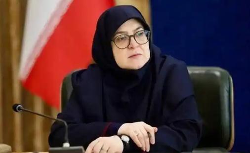 一些中东国家暗中帮助伊朗。
 
当地时间3月30日，伊朗政府发言人法蒂玛·穆哈杰