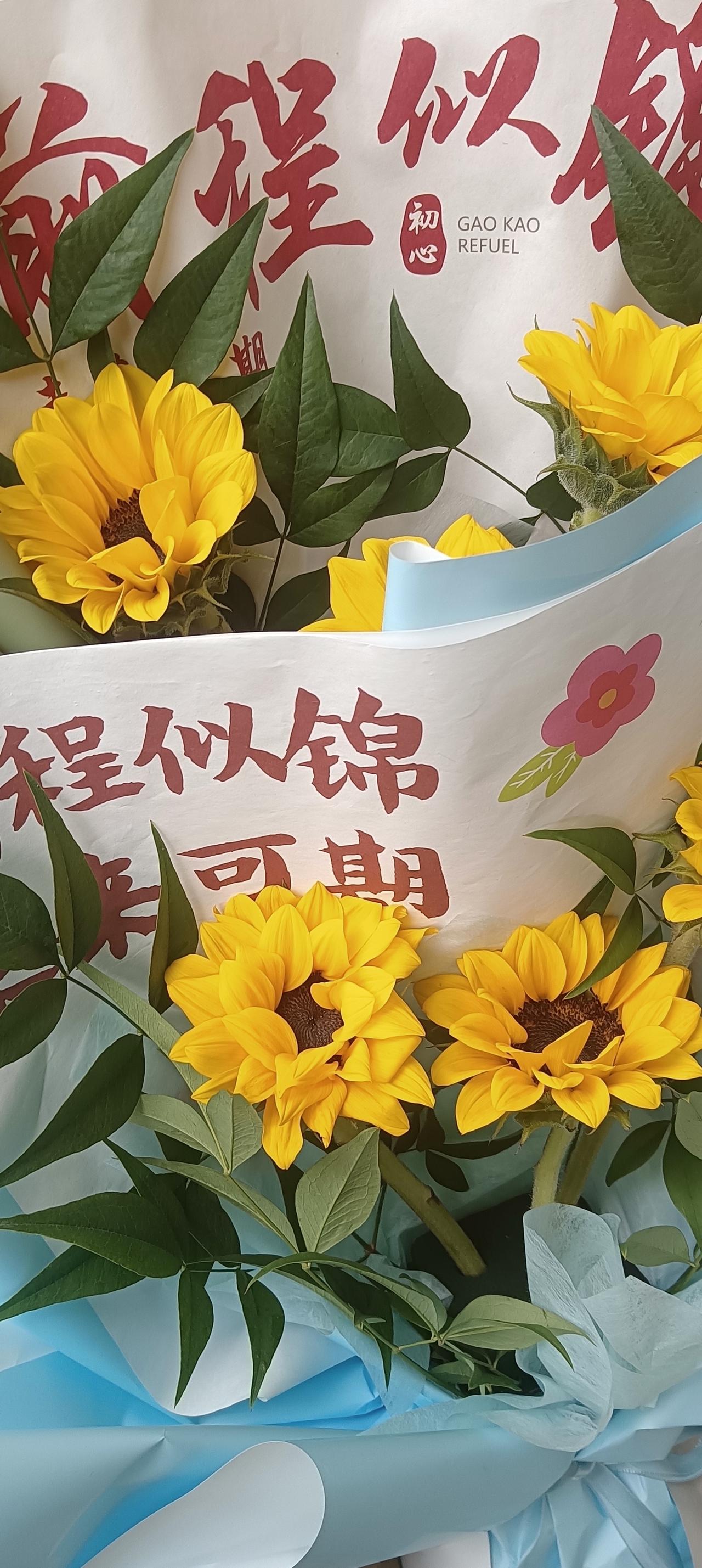 三年的时间一晃而过，该学的的知识你也学了，该走的弯路你也走了，你的意气风发你的痛