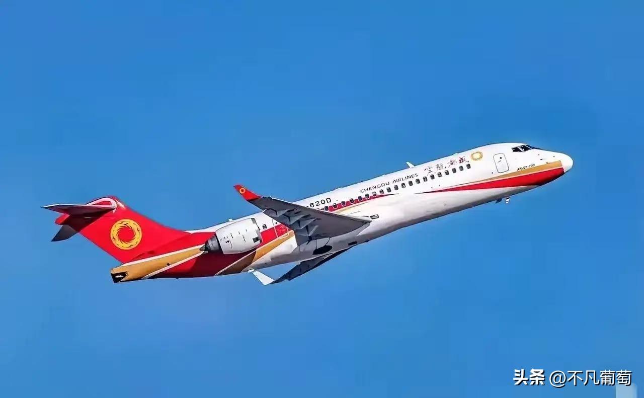 咱家的 C909，在越南飞了半年，租期一到，人家没续，飞机就这么飞回来了，很多人