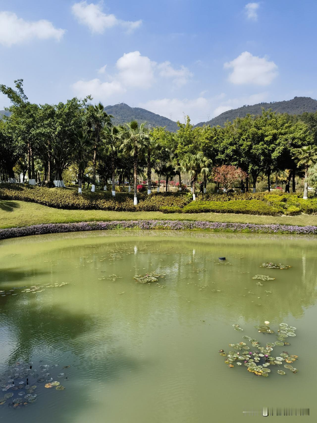 你有没有遇到过？
有些人看上去比较轻松，
没有你吃的苦多，
却收获的比你多。
