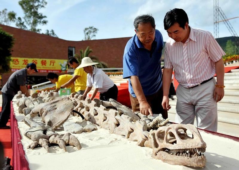 我国团队干大事了，首次为云南恐龙提供精准“年龄”。云南大学团队联合多家单位研究，