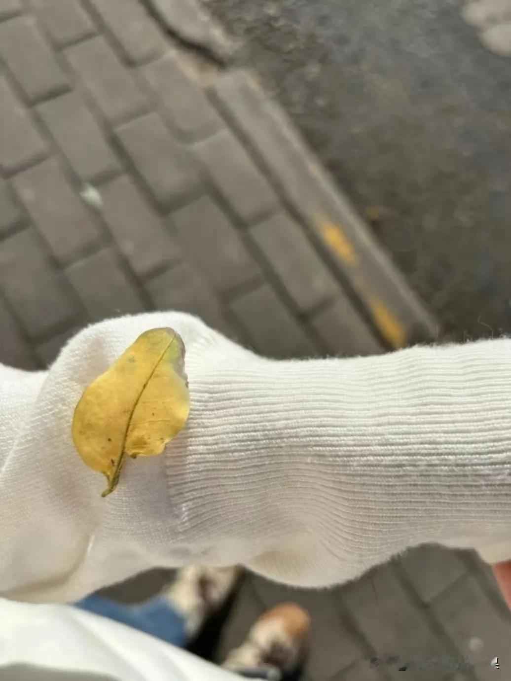 女性特别不愿意向人提起的秘密和隐私

1、DIY
其实女性也会有需求，不止男性有