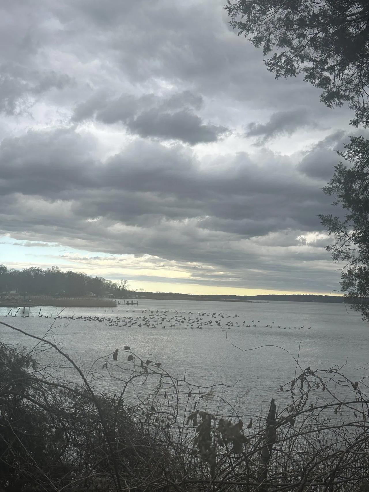 感觉自从控糖后我的快乐就没有了，虽然不是天天吃甜点吧，最起码的馒头烙饼面条包子饺