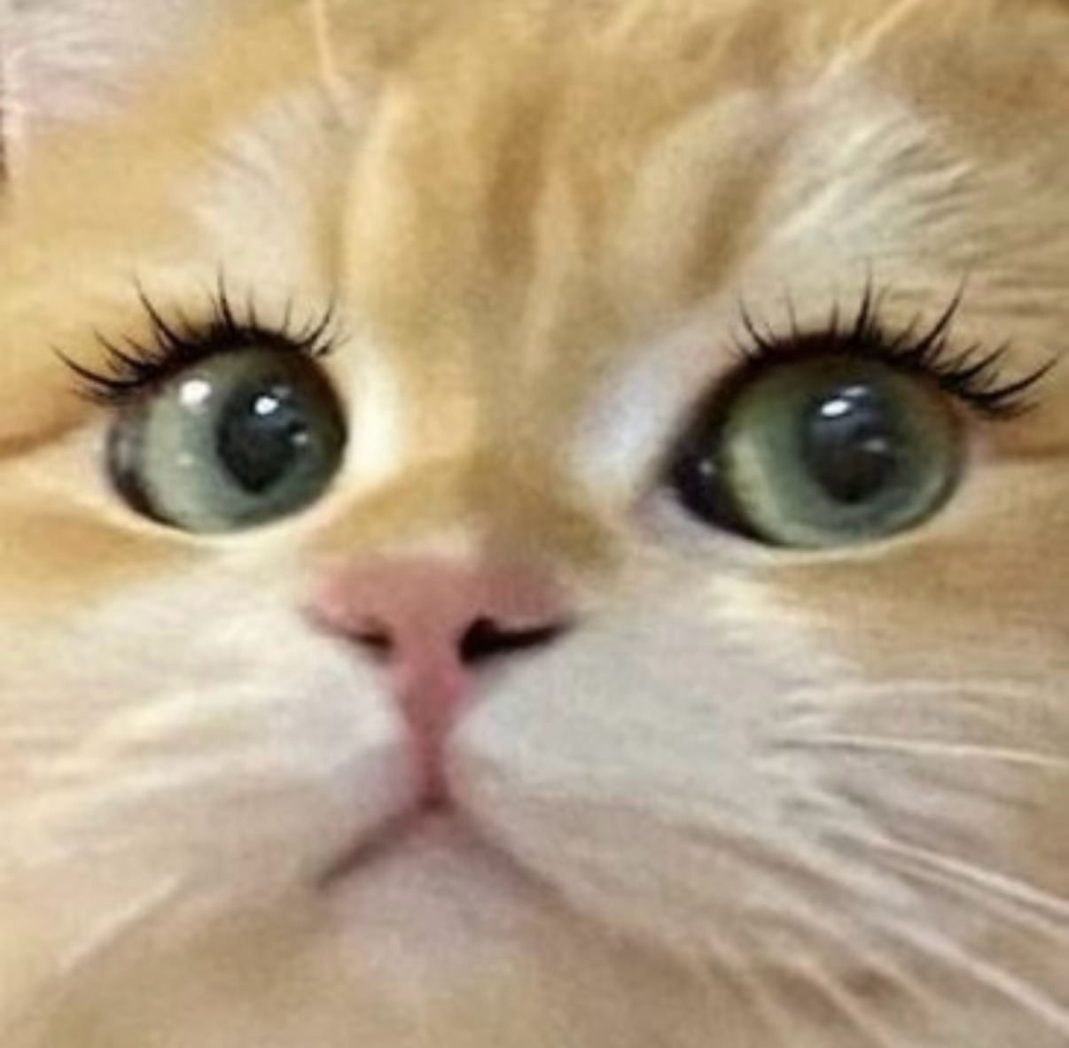 大家今天有没有上早八呀？