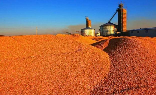 粮食丰收是大事好事值得关注，但也要关注亮眼数据背后的现实反差！
曾经的“北大荒i