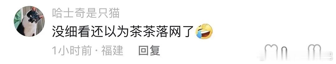 张博恒在机场被保安大哥护送这一幕太好笑了…… ​​​