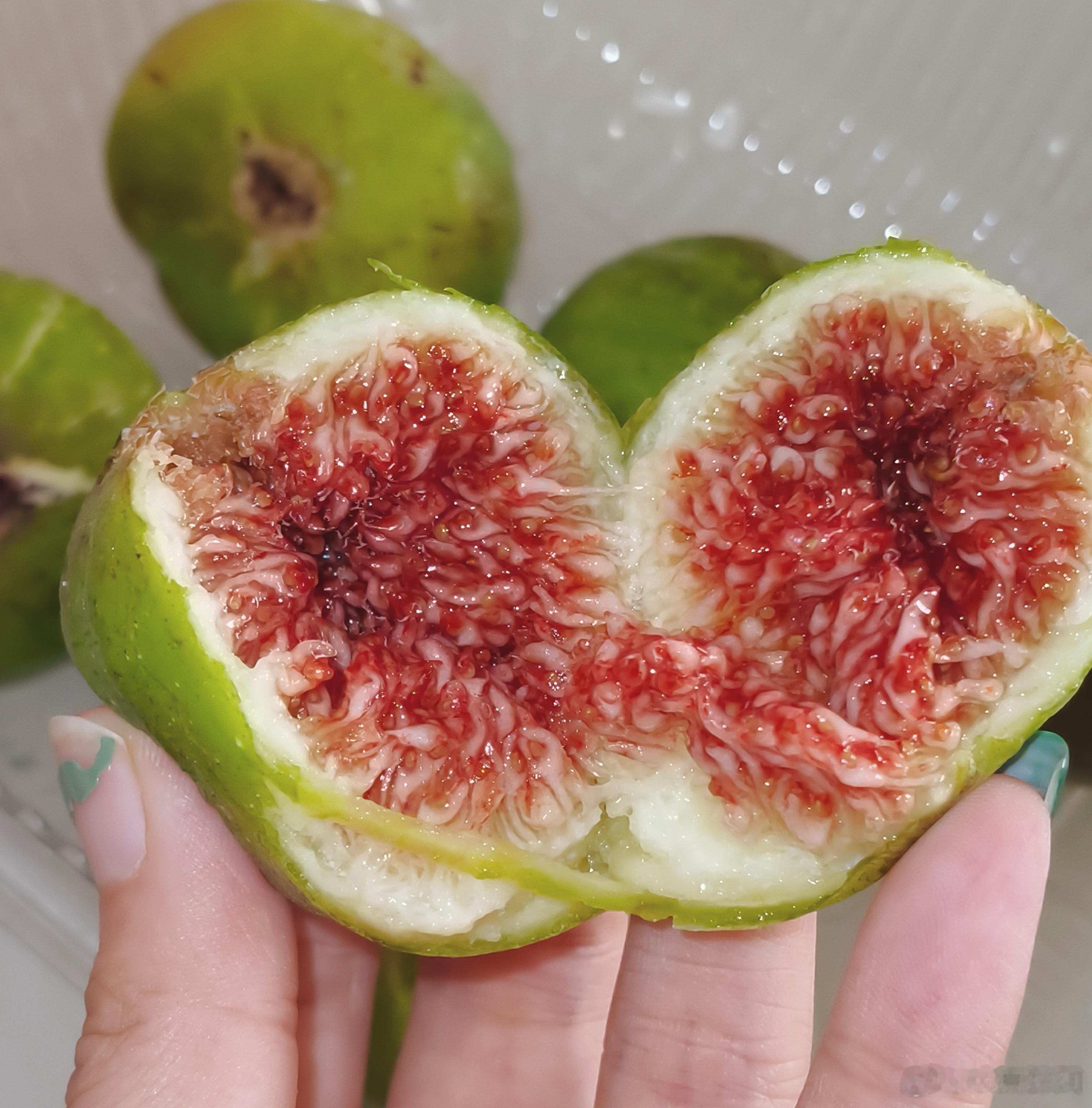 近期吃到的最甜的无花果 ​​​