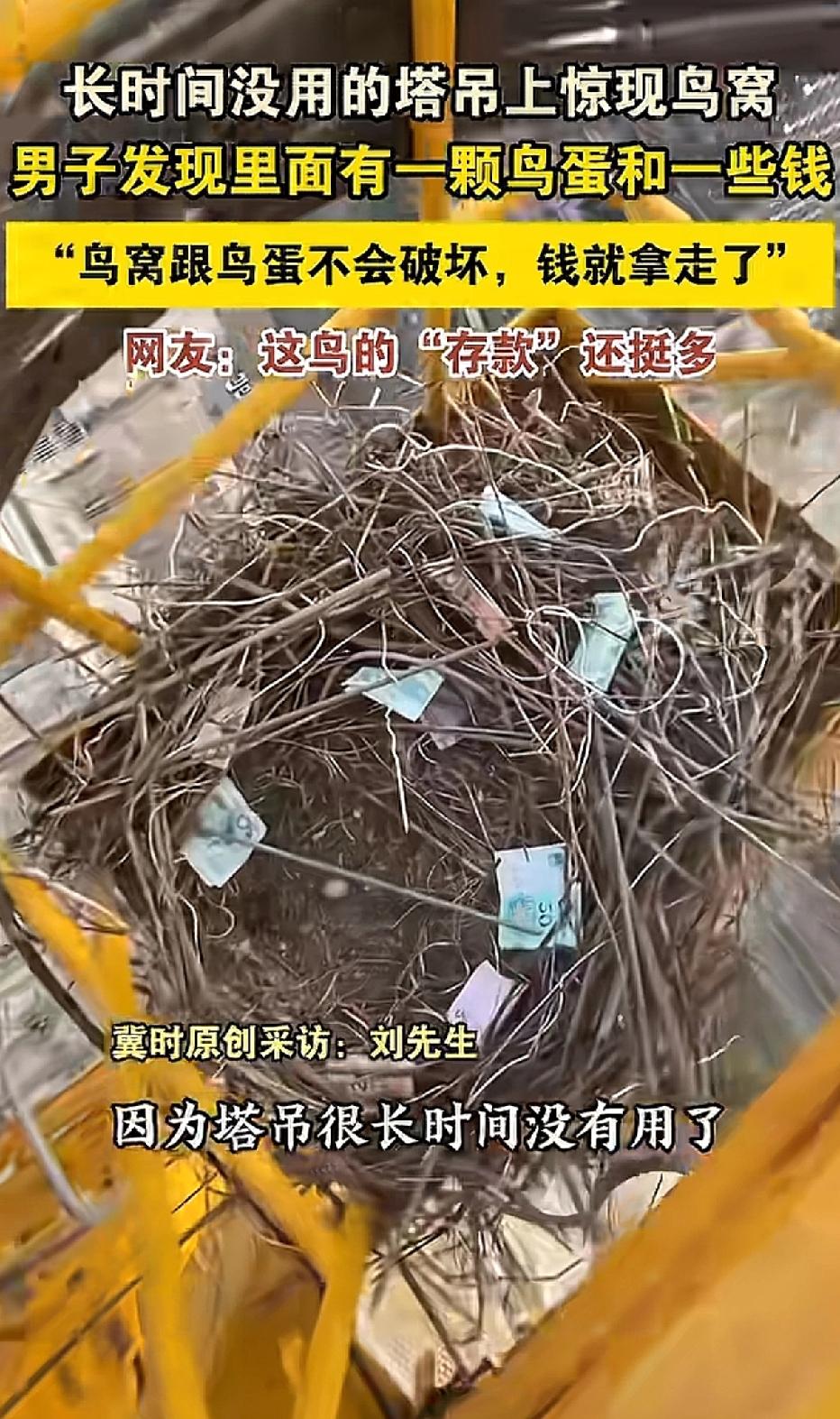 男子第一天上班，爬上塔吊后，竟发现了一个鸟窝。鸟窝里有一枚鸟蛋，定睛细看，还有一
