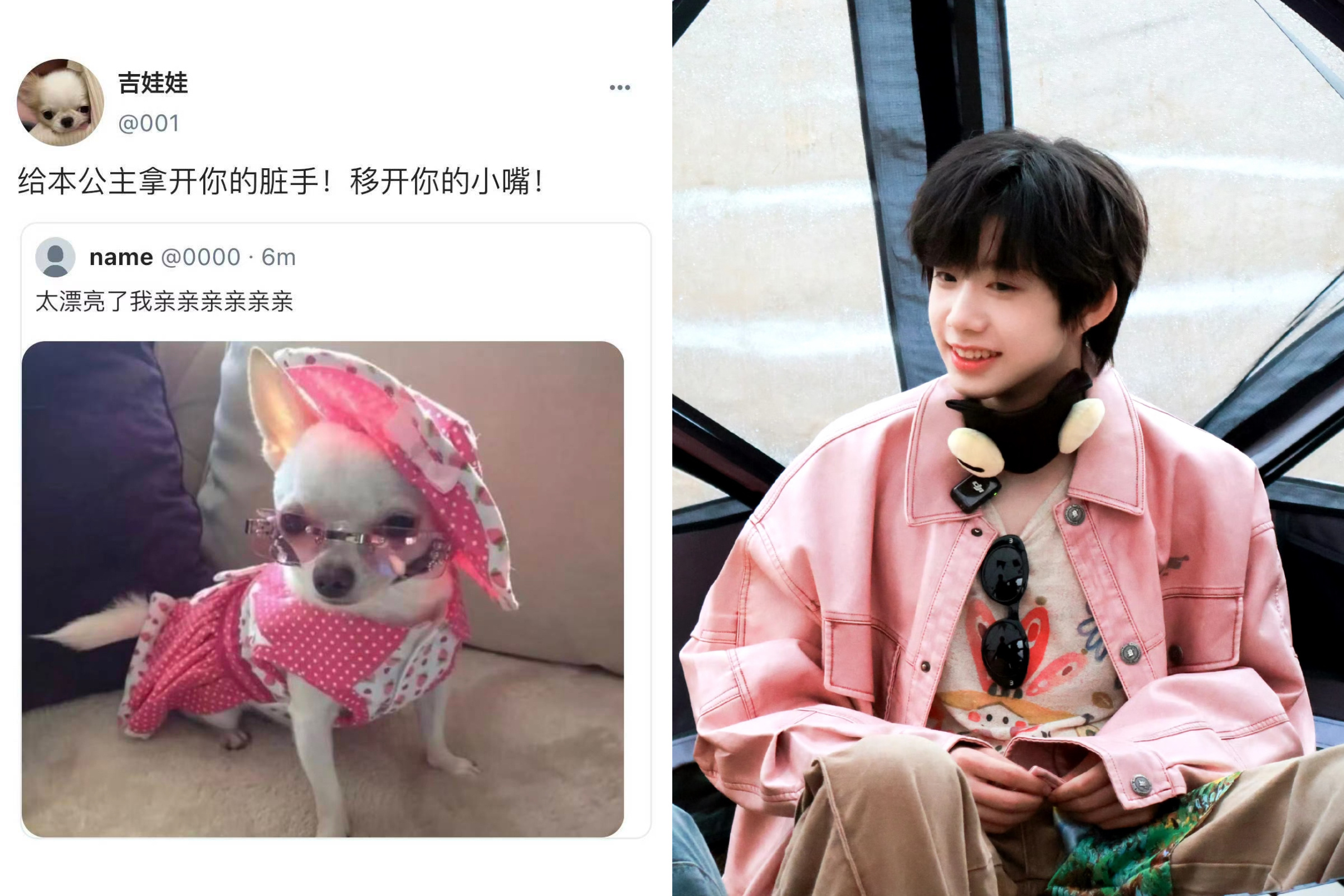 假如小狗哼会上网be like： 