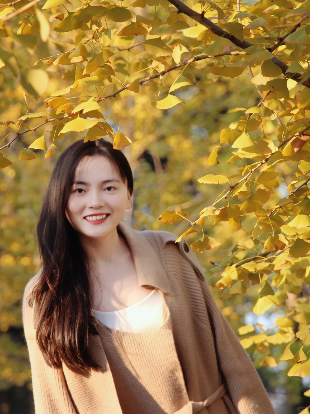 南昌的银杏黄了！超美的赏秋地推荐