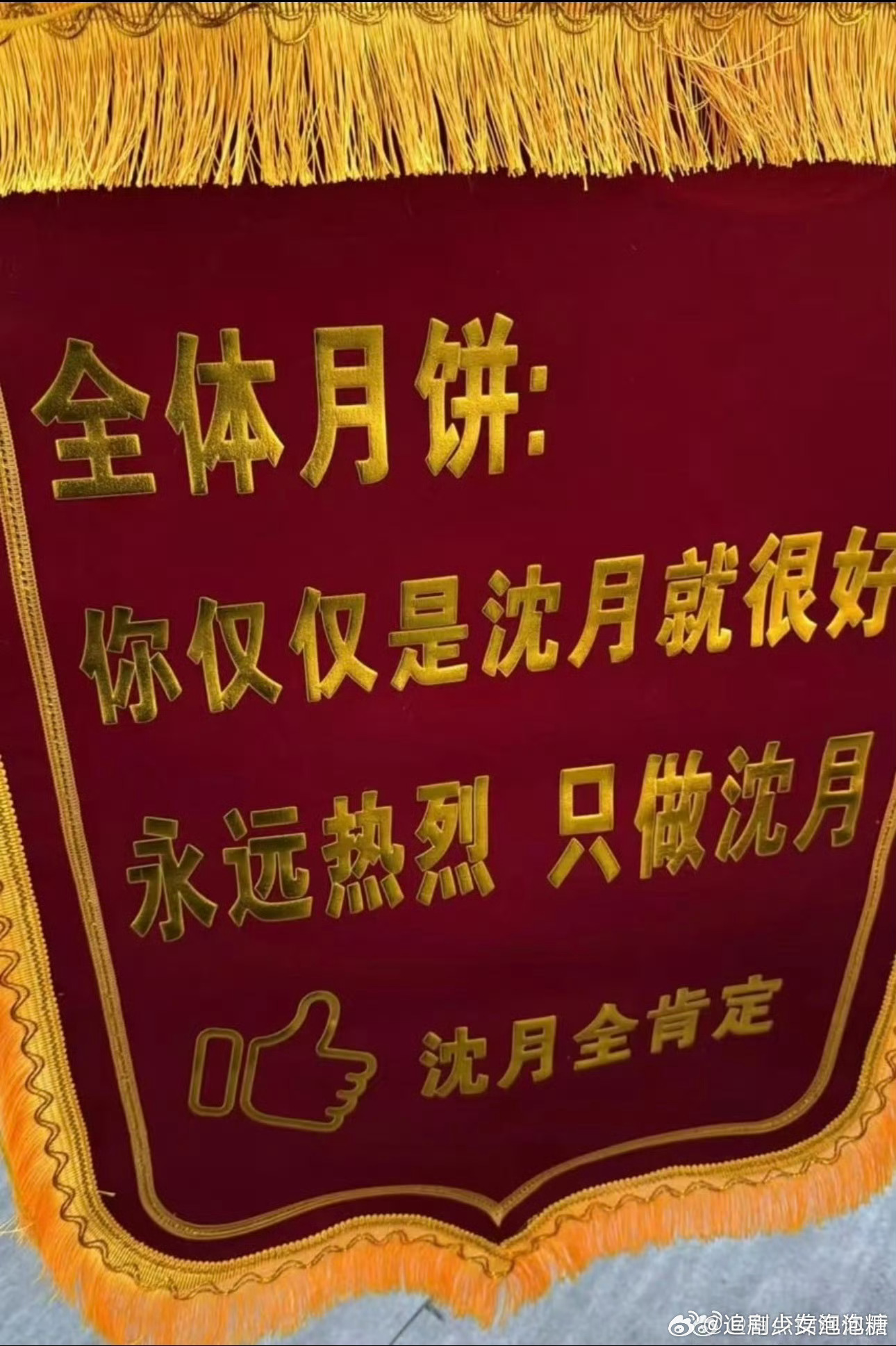 粉丝给沈月送只是沈月奖 粉丝给沈月送只是沈月奖，追星女就是最会爱人的啊！ 