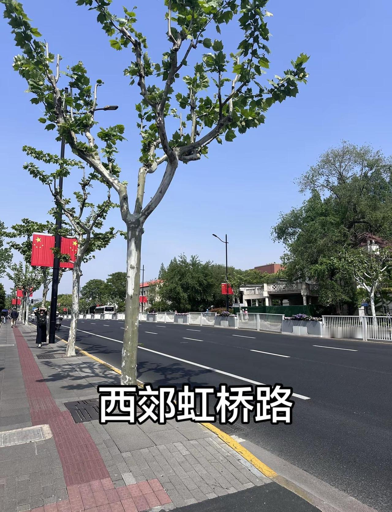 西郊宾馆停止访问。西郊虹桥路五一劳动节氛围浦西宇斌豪宅 宇斌专营别墅 虹桥路别墅