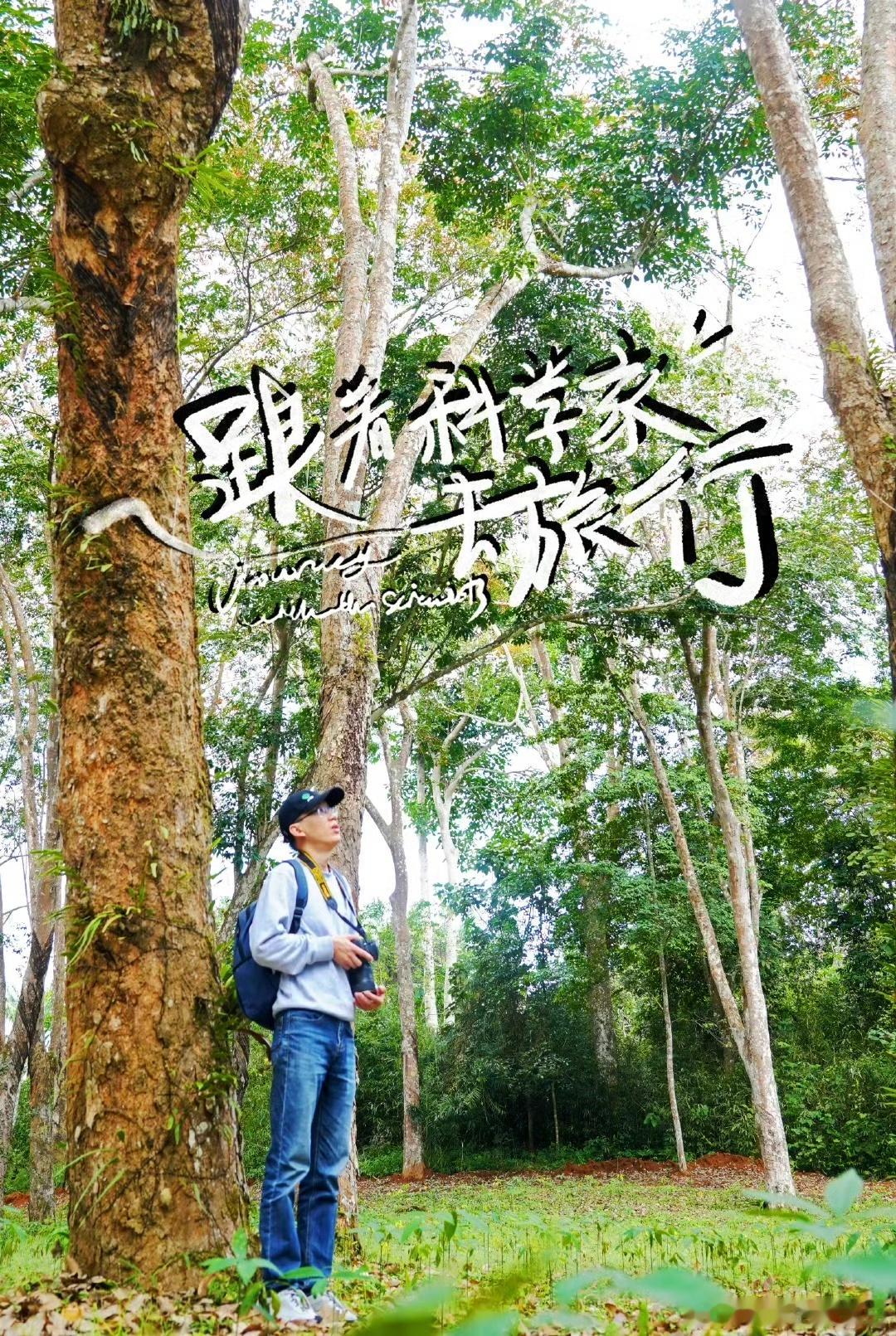 优酷纪录片2025片单 瞧，优酷 2025 纪录片要搞大动作！十部独家作品，概念