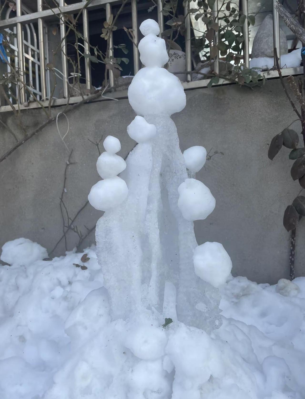 “岁月静好，不是生活安逸，而是内心笃定。年老虽老，但依然热爱生活的每一天。”🌸