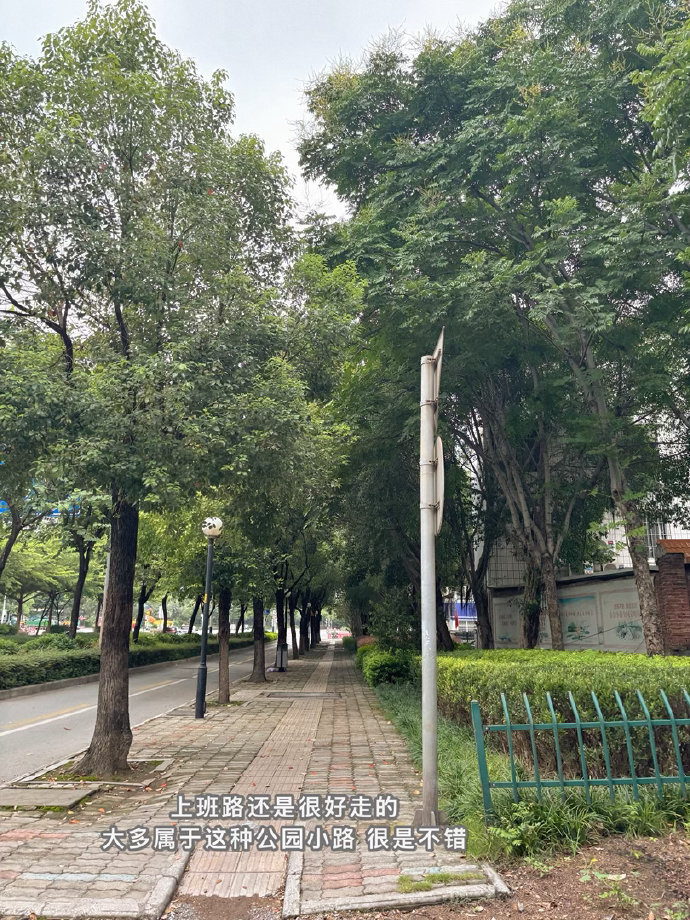 🫧通勤日常🫧✎ 状态有在向上走plog